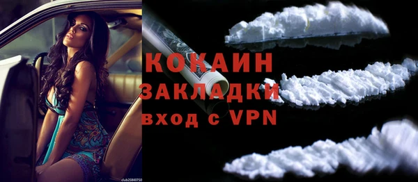 гашик Белокуриха