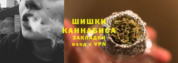 индика Белоозёрский