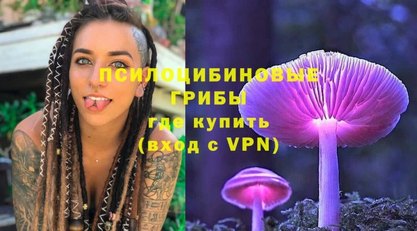 гашик Белокуриха