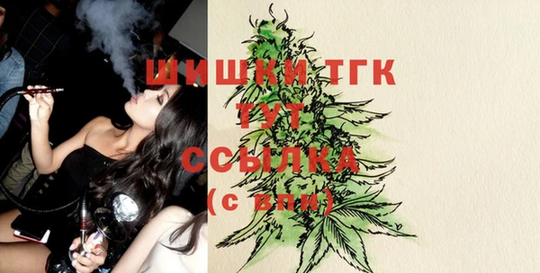 гашик Белокуриха