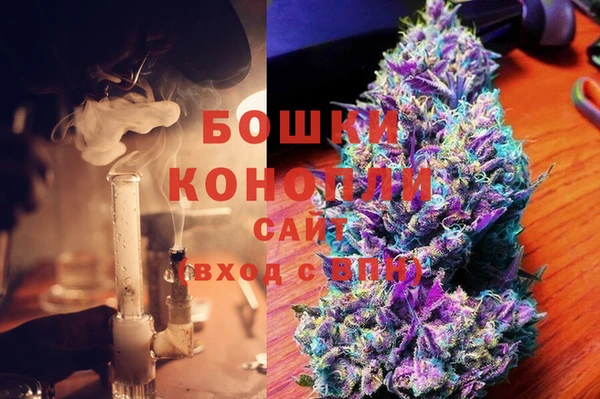 индика Белоозёрский