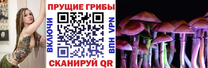 Галлюциногенные грибы ЛСД Купить Дивногорск